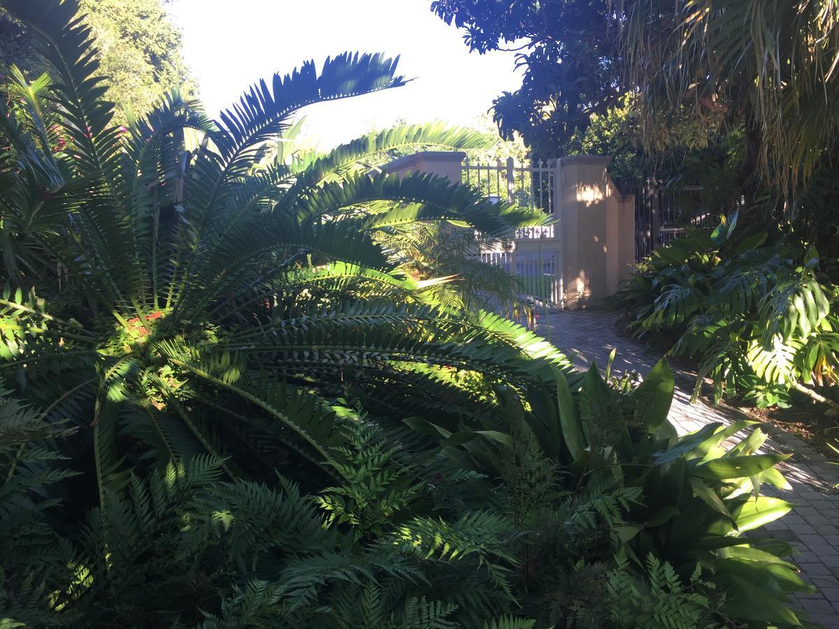 Constantia Valley Lodge Cape Town Eksteriør bilde